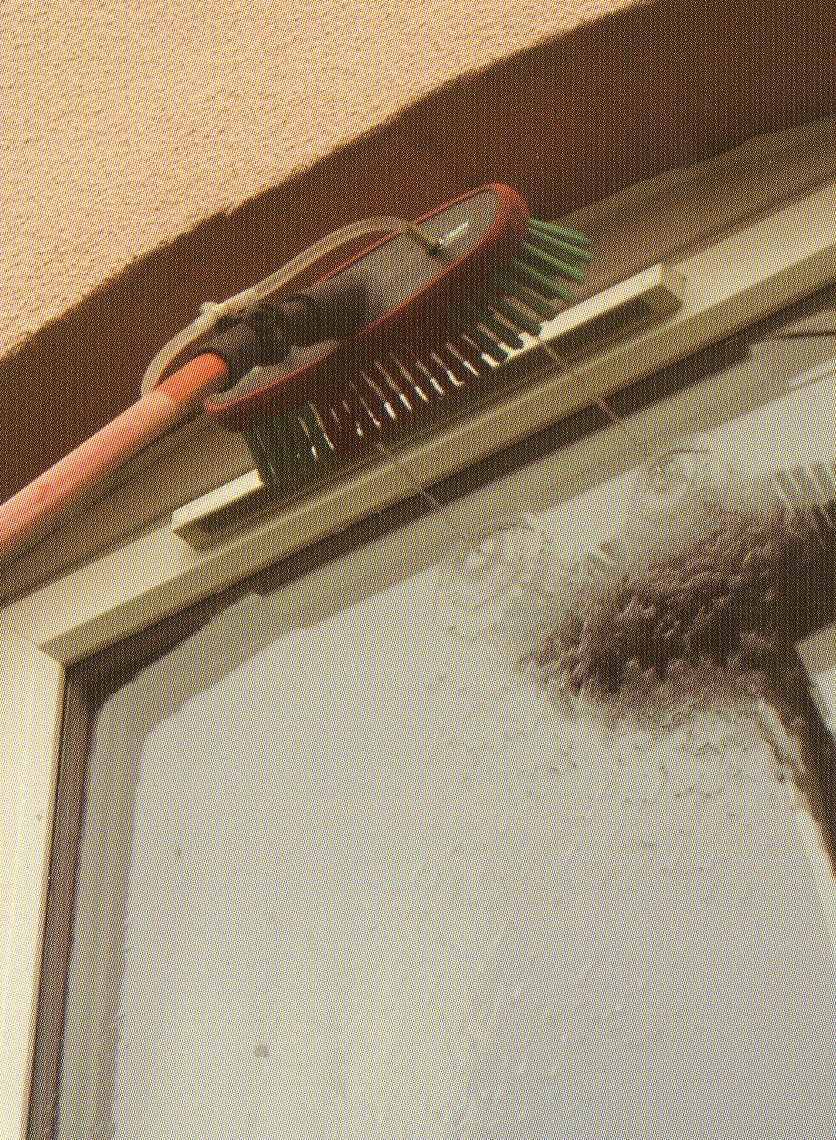 nigel 3 windows