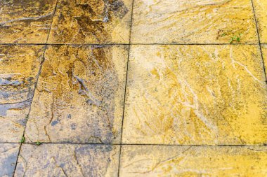 Patio pressure wash